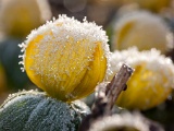 unser Gartenjahr
